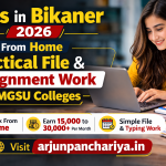Jobs in Bikaner 2026: Work From Home Practical File & Assignment Work for MGSU Colleges
